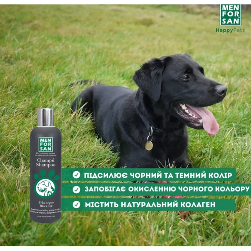 Шампунь MENFORSAN Shampoo Black Fur для собак із чорною вовною 5 л (5418MFP015): Призначення Для насыщенного окраса