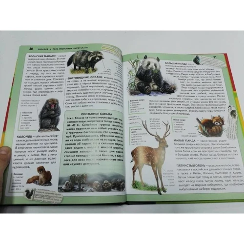 Юлия Школьник: Животные. Панорама нужных знаний: ISBN 978-5-699-96751-3