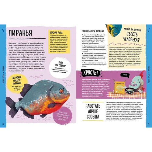 Тім Фланнери: Світ навколо тебе. Ці неймовірні тварини!: Обкладинка Тверда