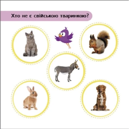 С. Моісеєнко: Міркувалочка. Сховай зайве: Виробник Ранок