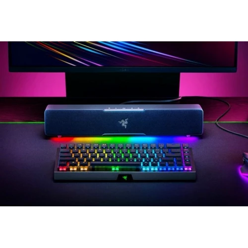Акустическая система Razer Leviathan V2 X (RZ05-04280100-R3M1): Пульт дистанционного управления отсутствует