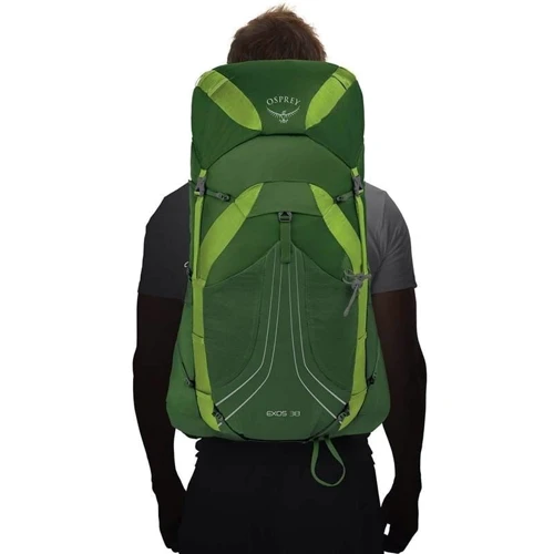 Рюкзак Osprey Exos 38 Tunnel Green - MD (009.1750): Производитель Osprey