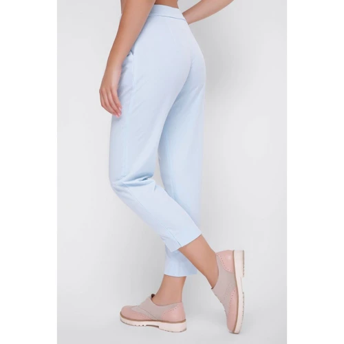 Штани FashionUp SHT-1650A 46 блакитні: Вид Штани