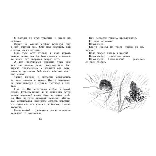 Виталий Бианки: Лесные сказки и рассказы (иллюстр. Е. Рачёва): ISBN 978-5-389-17910-3