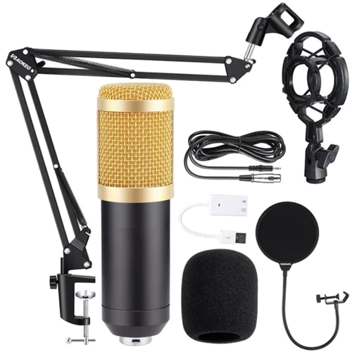 Комплект для записи HL AUDIO BM-800