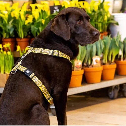Шлейка для собак Max & Molly Urban Pets H-Harness - Monkey Maniac/L 2 см 70-98 см жовта (4894512050419) фото 3