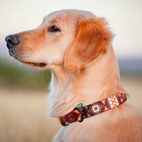 Ошейник HiDog "Вышиванка", размер L (ширина 25 мм, обхват шеи 35-45 см) (114\1034): Тип Обычные