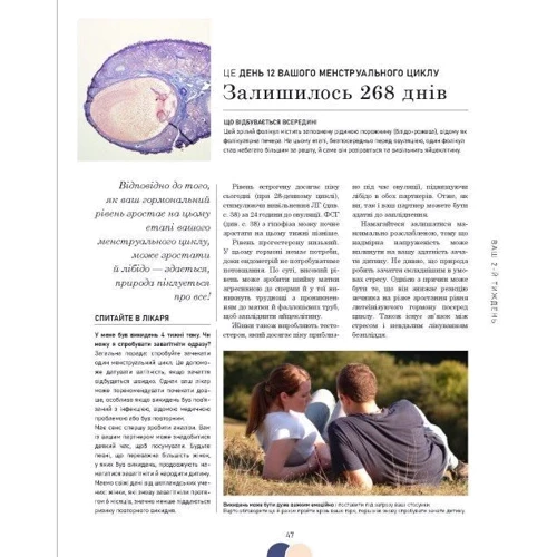 Меґґі Блотт: Вагітність день за днем: Кількість сторінок 496