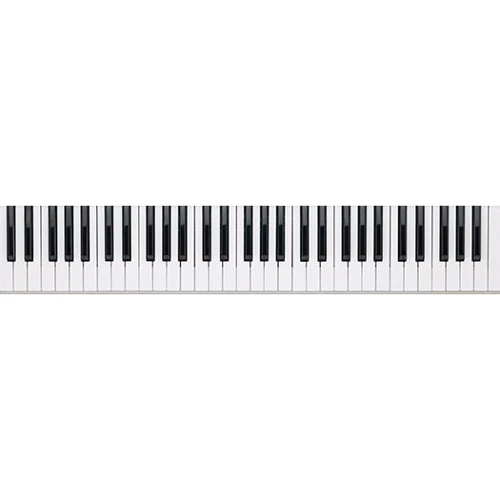 MIDI клавиатура SAMSON CARBON 61: Функции Транспонирование, Модуляция, Высота тона