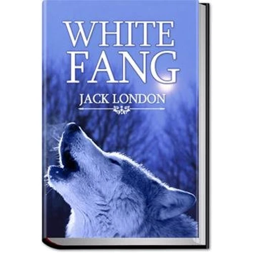 Книги на иностранных языках