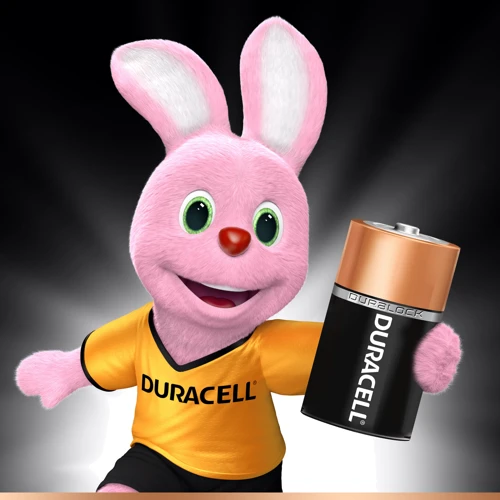 Батарейки Duracell Basic D алкалінові 1.5V LR20 2шт. (5000394052512) фото 2