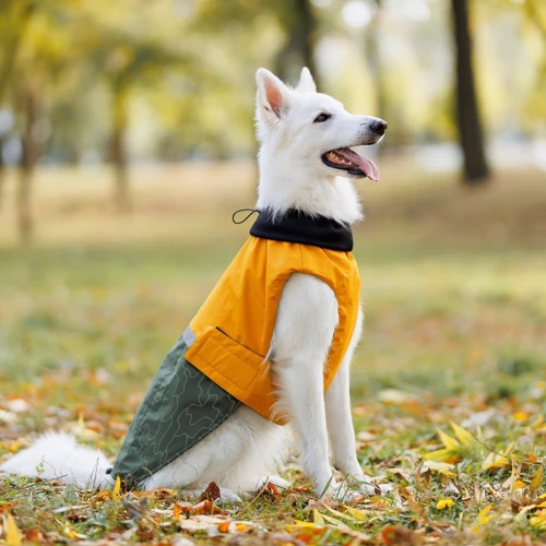 Попона Pet Fashion ROY хаки-горчица 6XL (4823082432806): Размер животного Большие