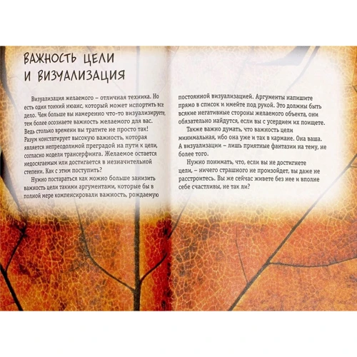 Нові практики Трансерфінга. Книга для читання та записів фото 6