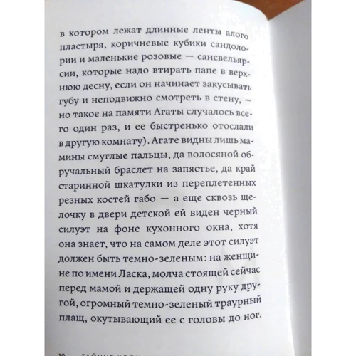 Лінор Горалік: Таємні ходи Венісани. Книга третя: Кількість сторінок 224