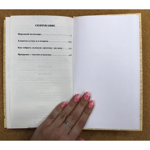 Бабушкина домашняя книга: Производитель Клуб семейного досуга