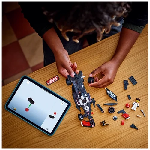 Конструктор LEGO Speed Champions Автомобіль для гонки MoneyGram Haas F1 Team VF-24 (77250): Серія Speed Champions