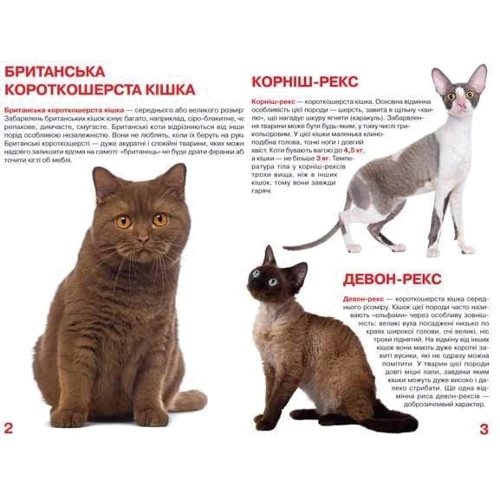 Велика книжка. Кішкі: Жанр Дитячі енциклопедії