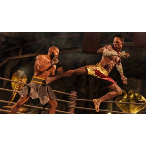 UFC 4 (PS4): Жанр Файтинги