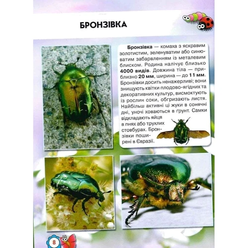 Світ довкола нас. Насекомі. Фотоенциклопедія фото 6
