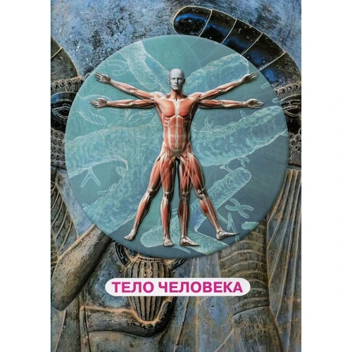 Все о теле человека. 1000 интересных фактов: Количество страниц 160