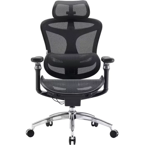 Офисное кресло Sihoo DORO C300 Pro Mesh Black (DORO-C300-PRO-M101)