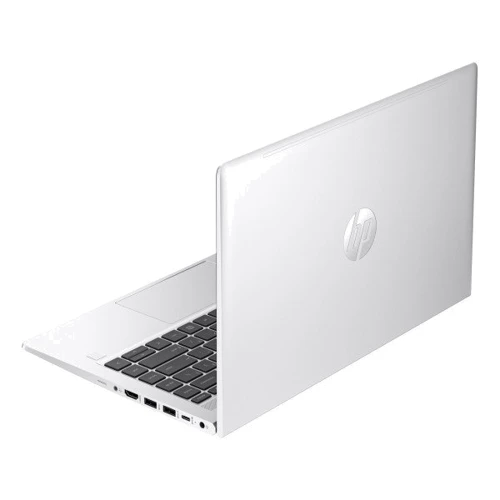 Ноутбук HP ProBook 445 G10 (70Z72AV_V1) UA: Тип экрана матовый