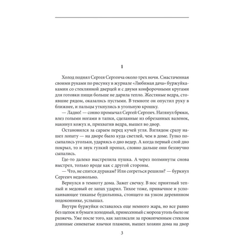Андрей Курков. Серые пчелы: Обложка Твердая