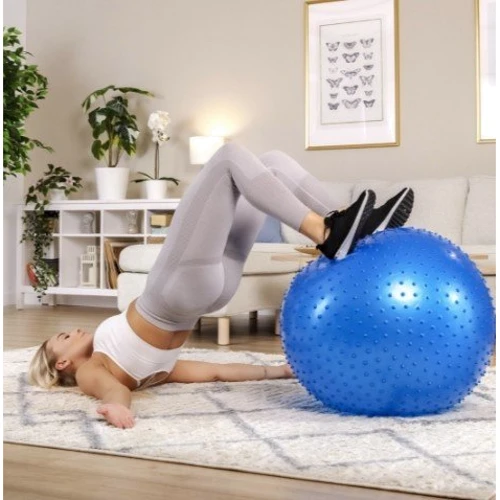 Мяч для фитнеса Hop-Sport 65 cм HS-R065GB blue + насос: Материал ПВХ