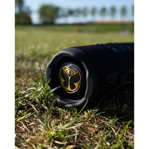 Акустика JBL Flip 7 Tomorrowland (JBLFLIP7TML) UA