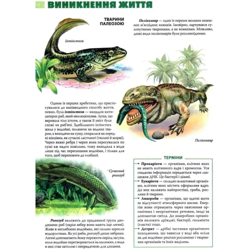 Планета тварин. Книга необхідних знань: Количество страниц 64