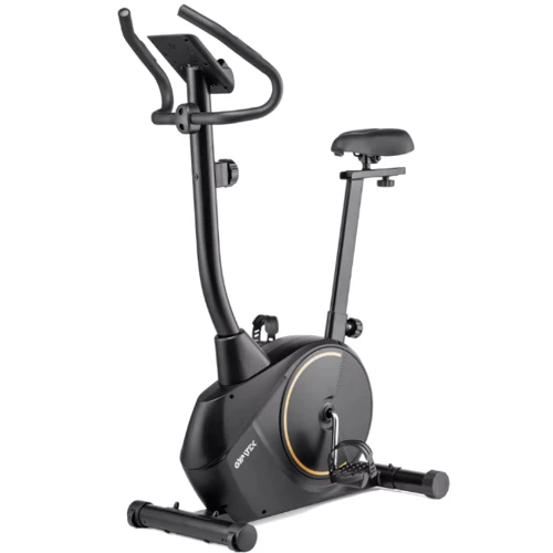 Велотренажер Gymtek XB1500 магнитный золотой