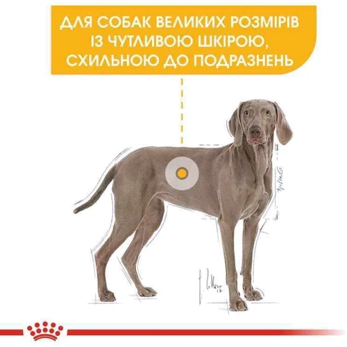 Сухой корм Royal Canin Dermacomfort Maxi Adult для собак с проблемной кожей 12 кг (24441209): Вес упаковки 12 кг