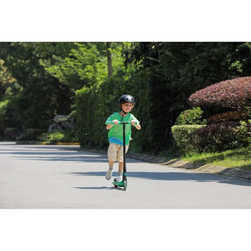 Электросамокат Ninebot by Segway A6 (AA.00.0011.62): Диаметр колес, дюймов 5