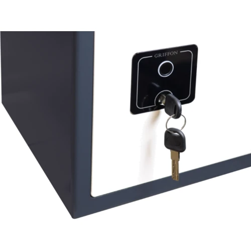 Сейф Сейф Griffon S.30.FP
