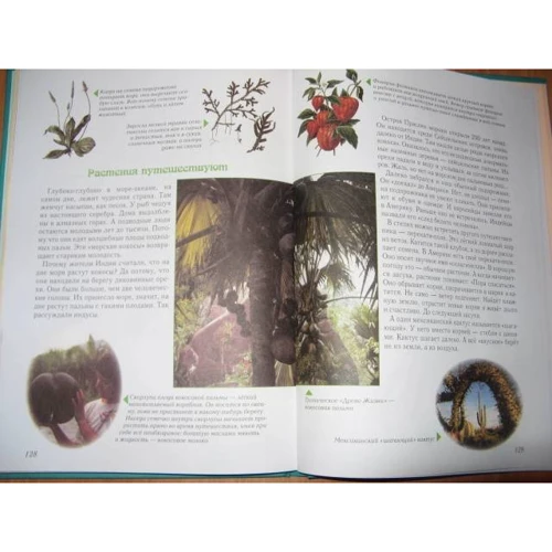 Світлана Лаврова. Цікава ботаніка. Моя перша книга: ISBN 978-5-7793-1316-2