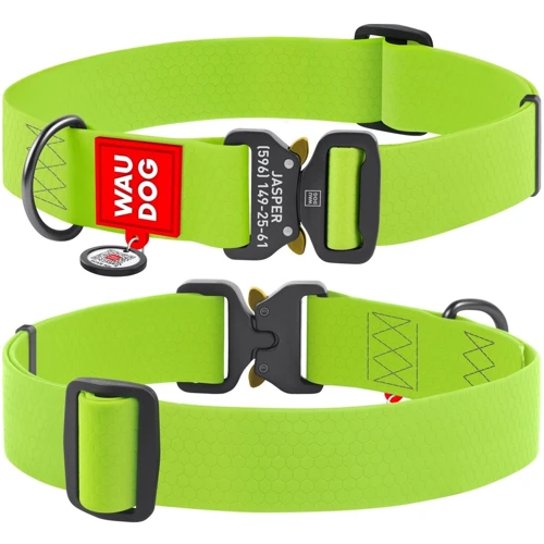 Нашийник для собак WAUDOG Waterproof c QR-паспортом салатовий (28015)