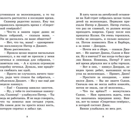 Енід Блайтон. Загадкова історія зі скрипкою: Жанр пригоди