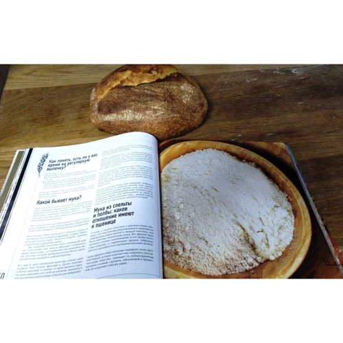 Наталья Корнышова, Антон Корнышов: Дикие пекари: Количество страниц 160