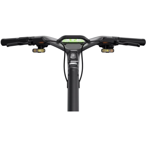 Электросамокат Ninebot by Segway GT2P Black (AA.00.0012.65): Допустимая нагрузка, кг 150