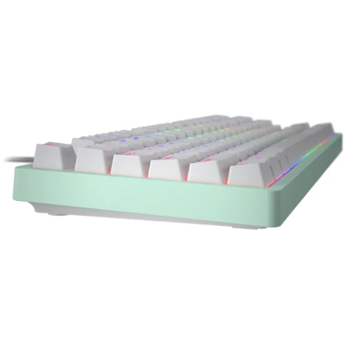 Клавиатура HATOR Rockfall 2 Mecha TKL Mint (HTK-723): Количество клавиш 87