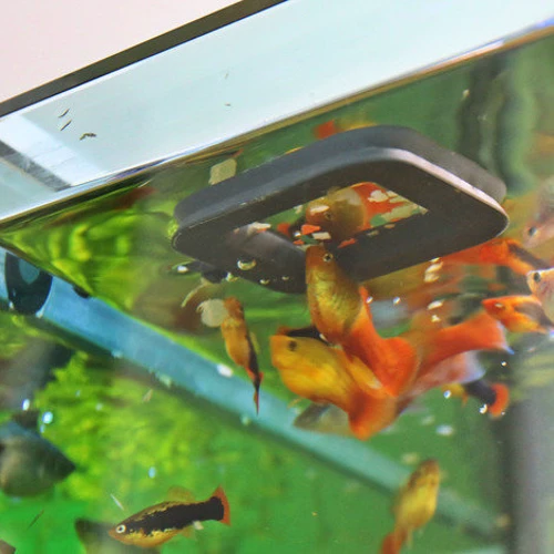 Кормушка JBL NovoStation для аквариумов с компенсацией уровня воды (61369) фото 4