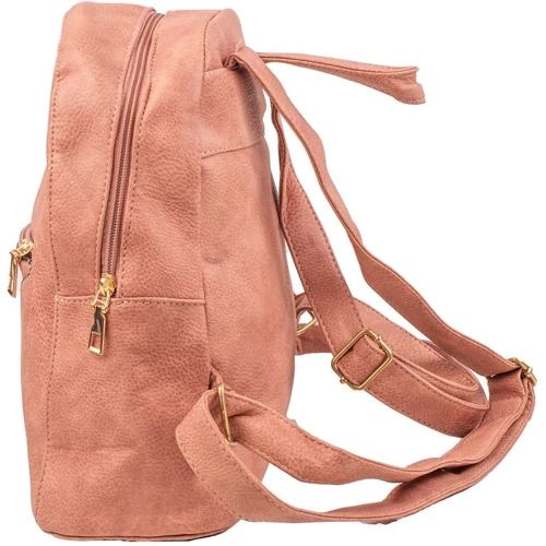 Женский рюкзак Valiria Fashion розовый (3DETBI221812-13): Тип Рюкзаки