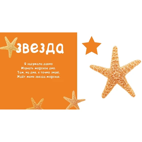 Формы. Солнечная фото-книга Берлова А.: Обложка Картон