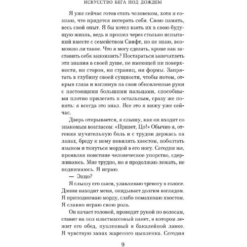 Гарт Стайн: Искусство бега под дождем: Автор Гарт Стайн