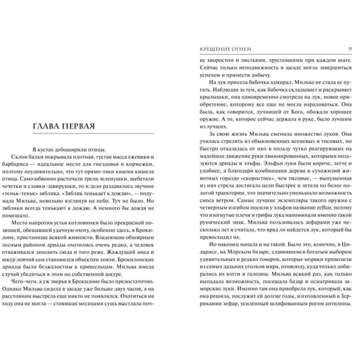 Комплект книг Відьмак: Останнє бажання + Меч призначення + Кров ельфів + Година презирства + Хрещення вогнем + Вежа ластівки + Володарка озера + Сезон гроз фото 50