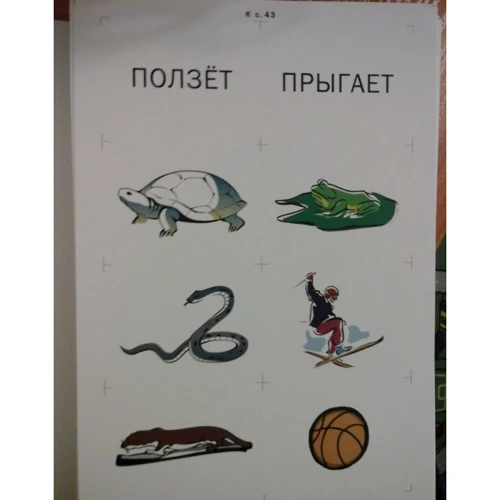 Лариса Нуриева: Развитие речи у аутичных детей. Методическое пособие + наглядные материалы: ISBN 978-5-4212-0423-7