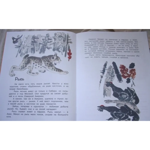 Ігор Акимушкин: Це все кішки: Кількість сторінок 28