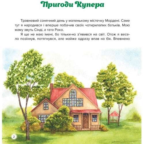 Ірина Константюк: Пригоди Купера: Обложка Твердая