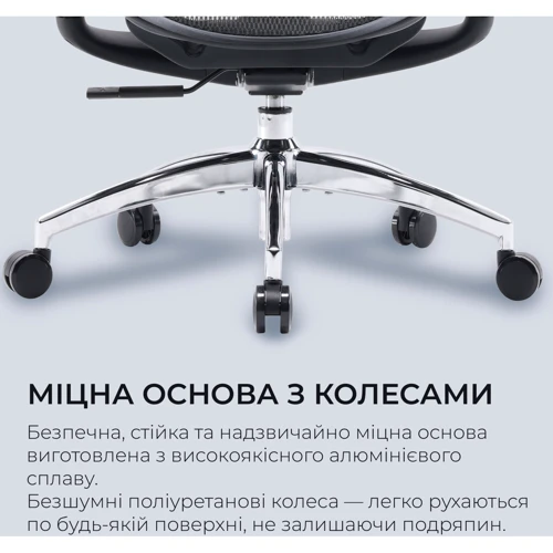 Офисное кресло Sihoo DORO C300L Mesh Black (DORO-C300L-A3-101)