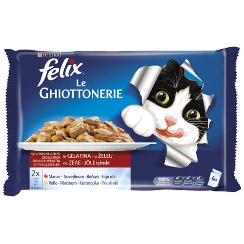 Влажный корм FELIX Fantastic Кусочки в желе для взрослых кошек, мультипак: с говядиной 2х100г и с курицей 2х100г (7613033261565): Тип Влажный корм
